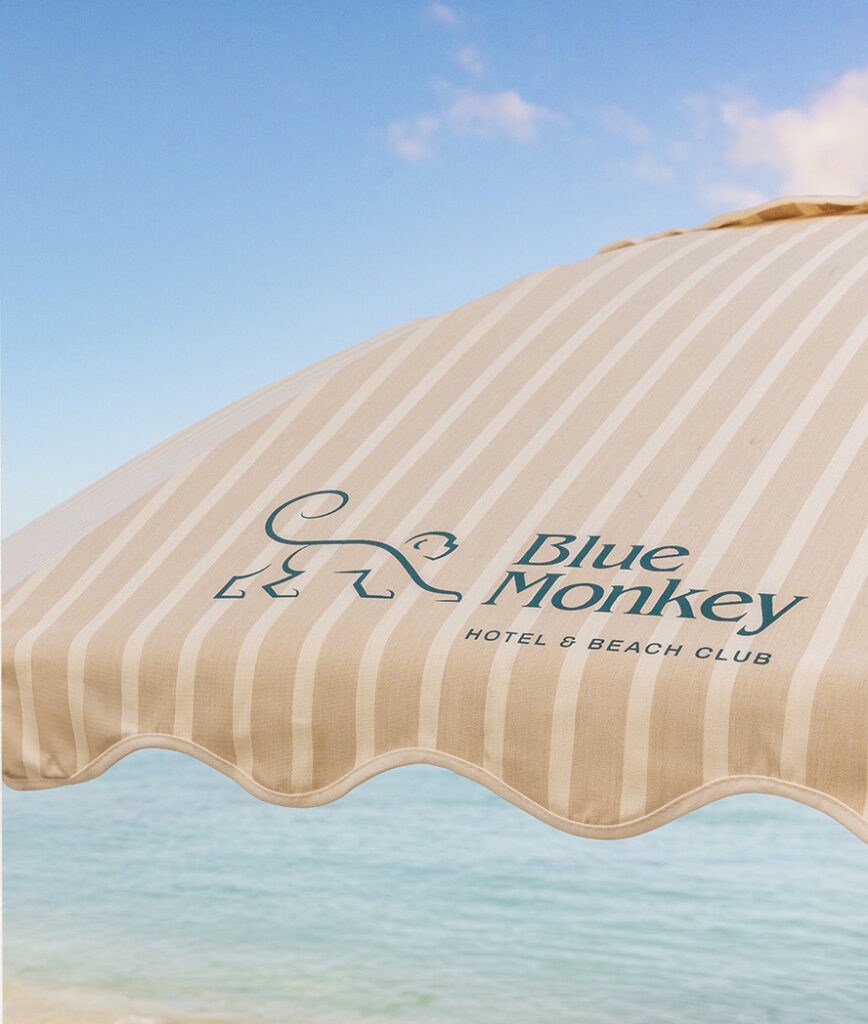 Blue Monkey Resort and Beach Club Chooses Paired Plus.