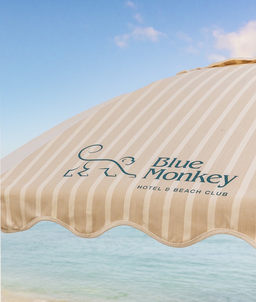 Blue Monkey Resort in Barbados chooses Paired Plus salon and spa software by Prosolutions for their Opera OHIP integration